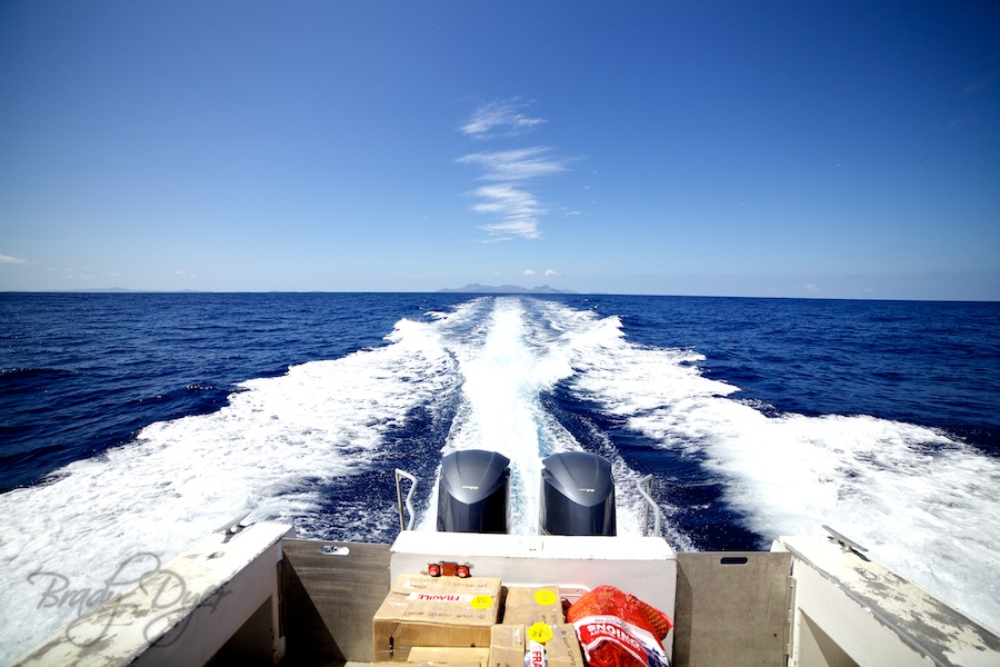 Viwa Island Transfer Boat