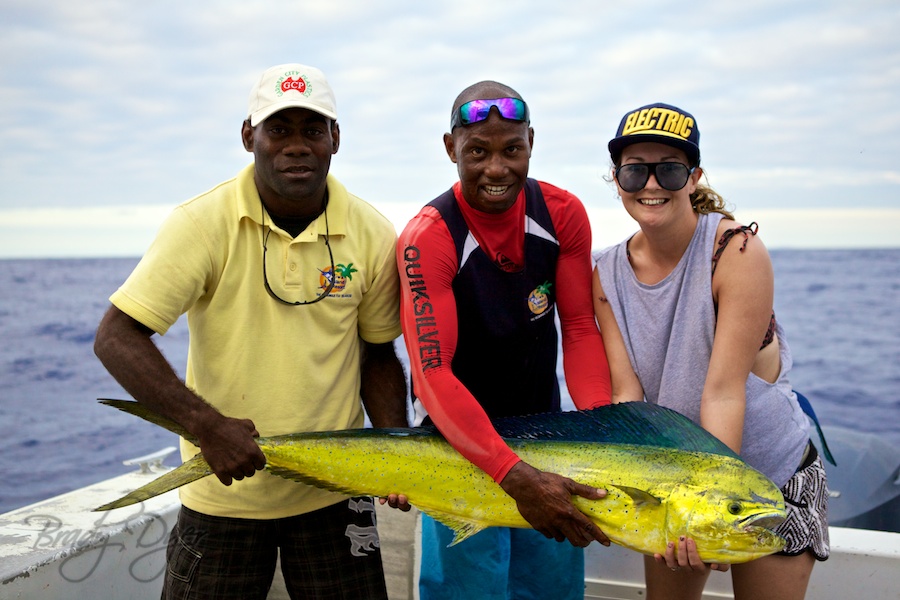 mahi mahi in fiji