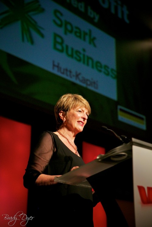 Hutt Valley Chamber of Commerce Business Awards 2014