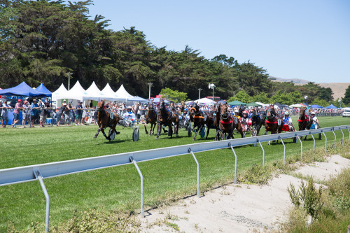 20141229 - ISF CHCH - Brady Dyer - 803