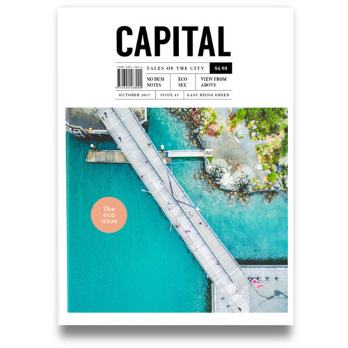 capital-magazine-cover-brady-dyer-drone